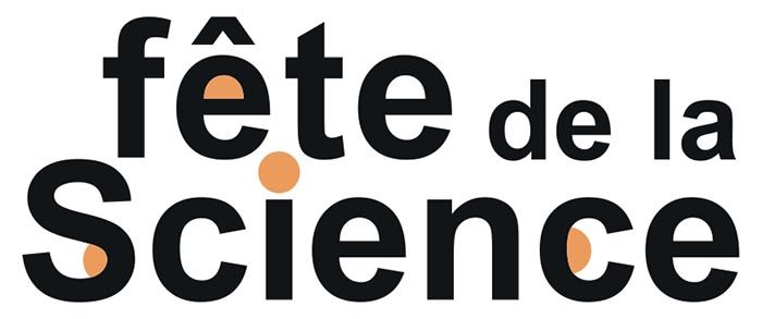 Logo FDLS jaune