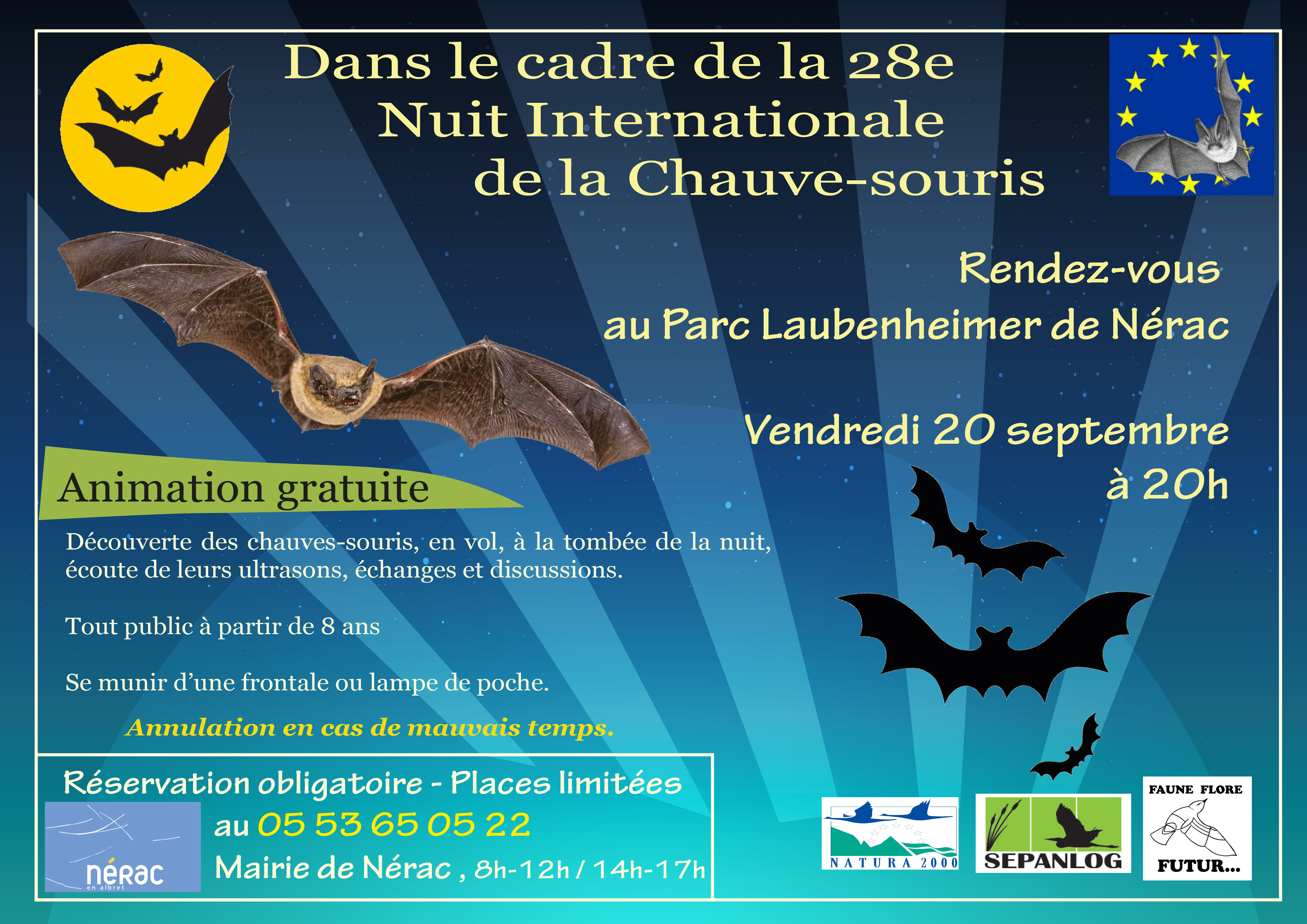 Chauves souris 2023 visuel